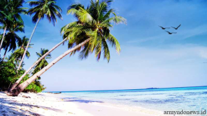 Surga Kecil di Kepulauan Karimunjawa