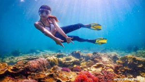 Wisata Kepulauan Seribu Untuk Snorkeling Paling Recommended